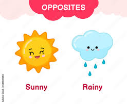 SUNNY AND RAINY
